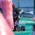 IMG_2476