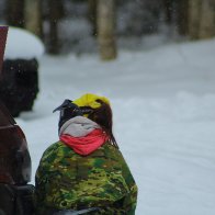 IMG_8562