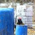 IMG_0192