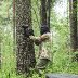 Paintball Bootcamp