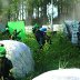 Suurpeli2016